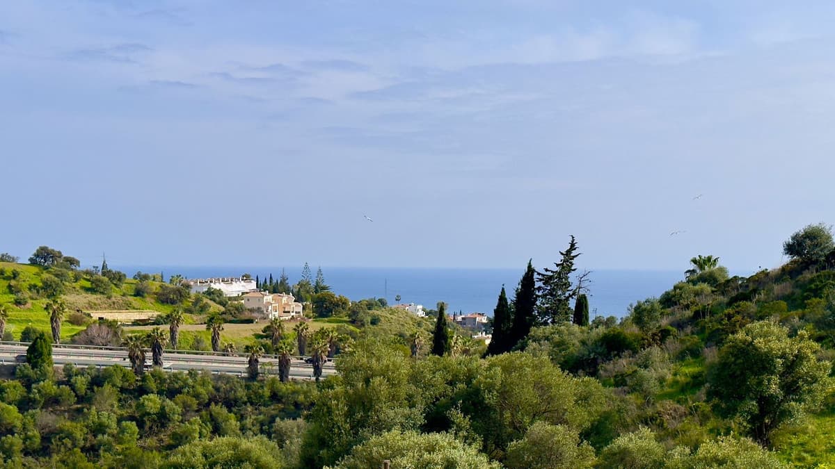 Detached Villa in Mijas — photo 3 of 10