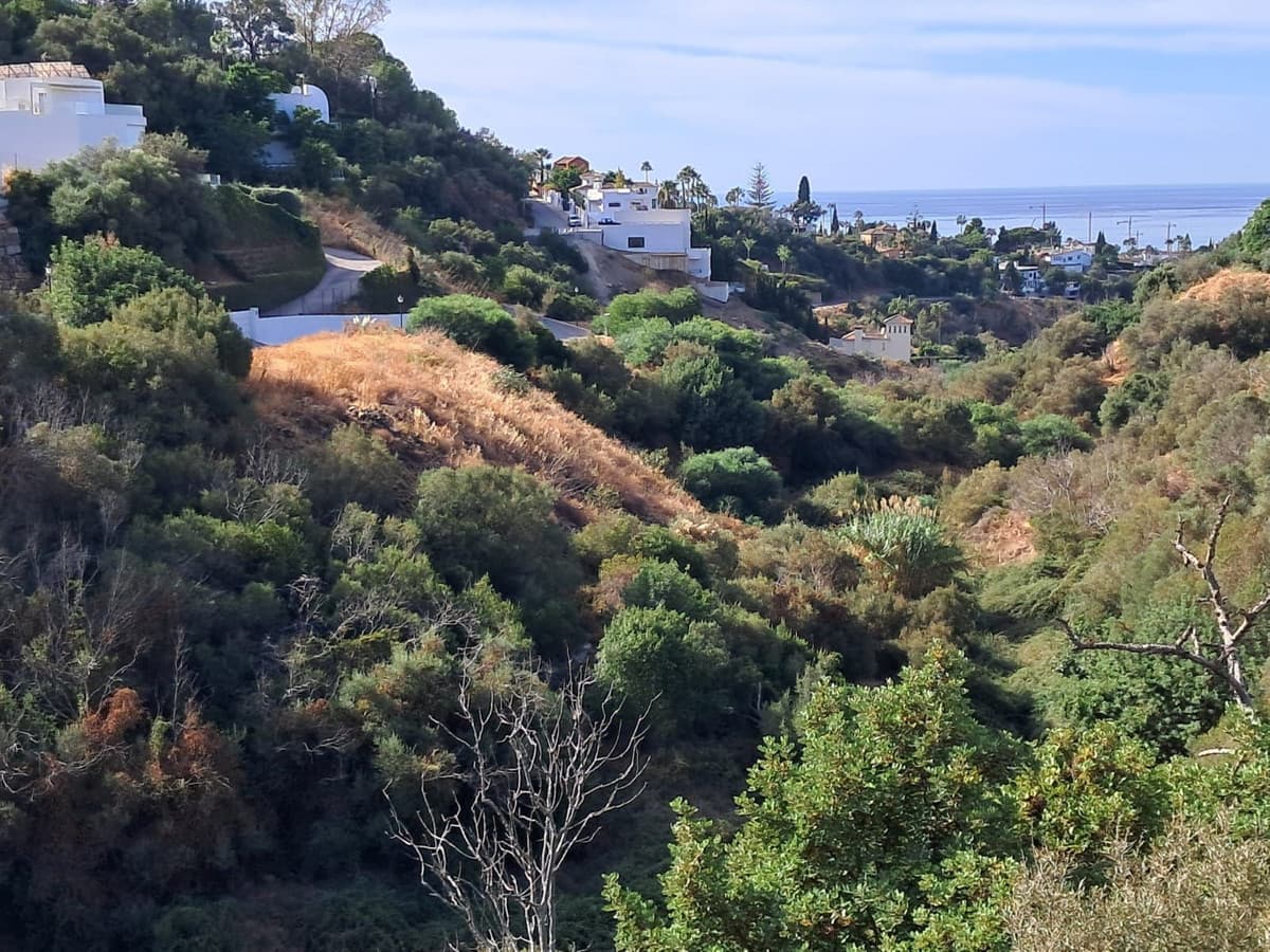 Residential Plot in Marbella — photo 2 of 4