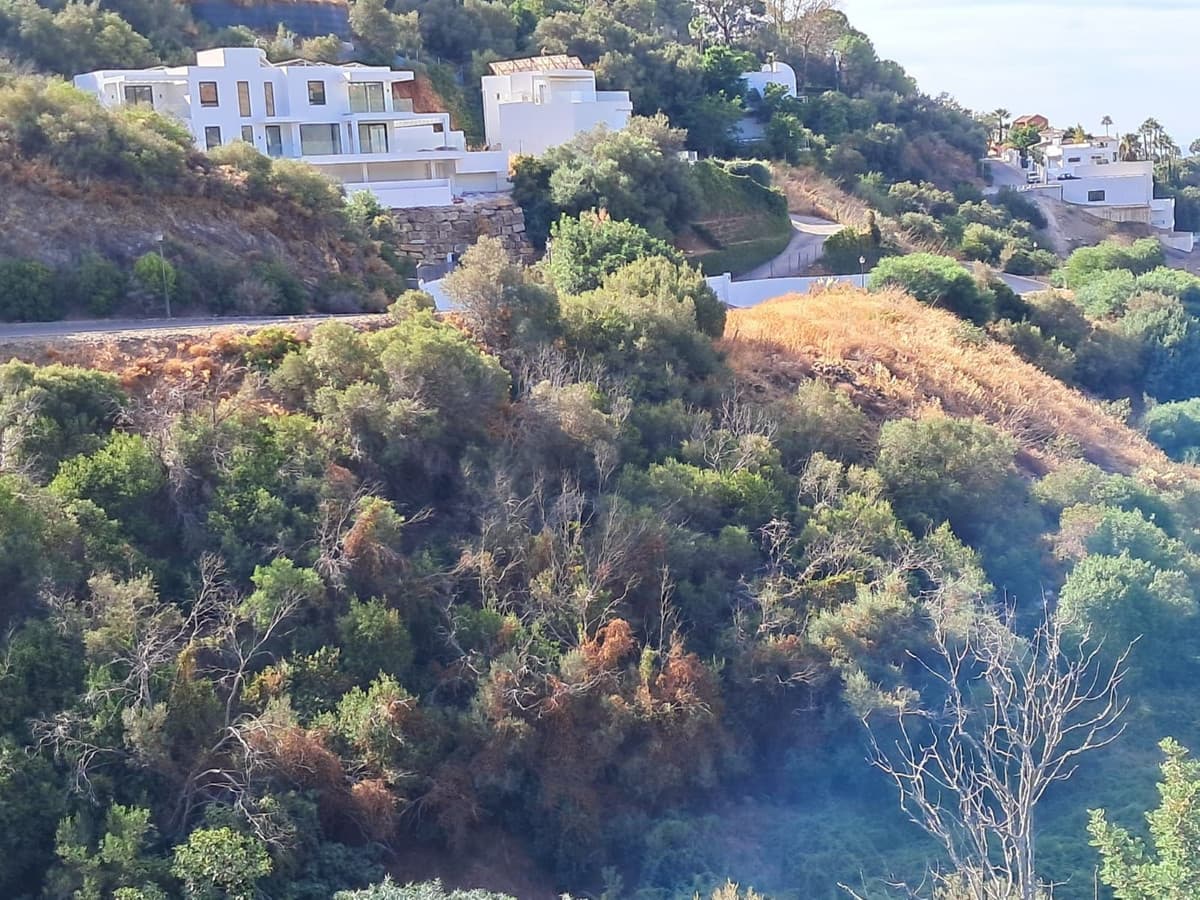 Residential Plot in Marbella — photo 3 of 4