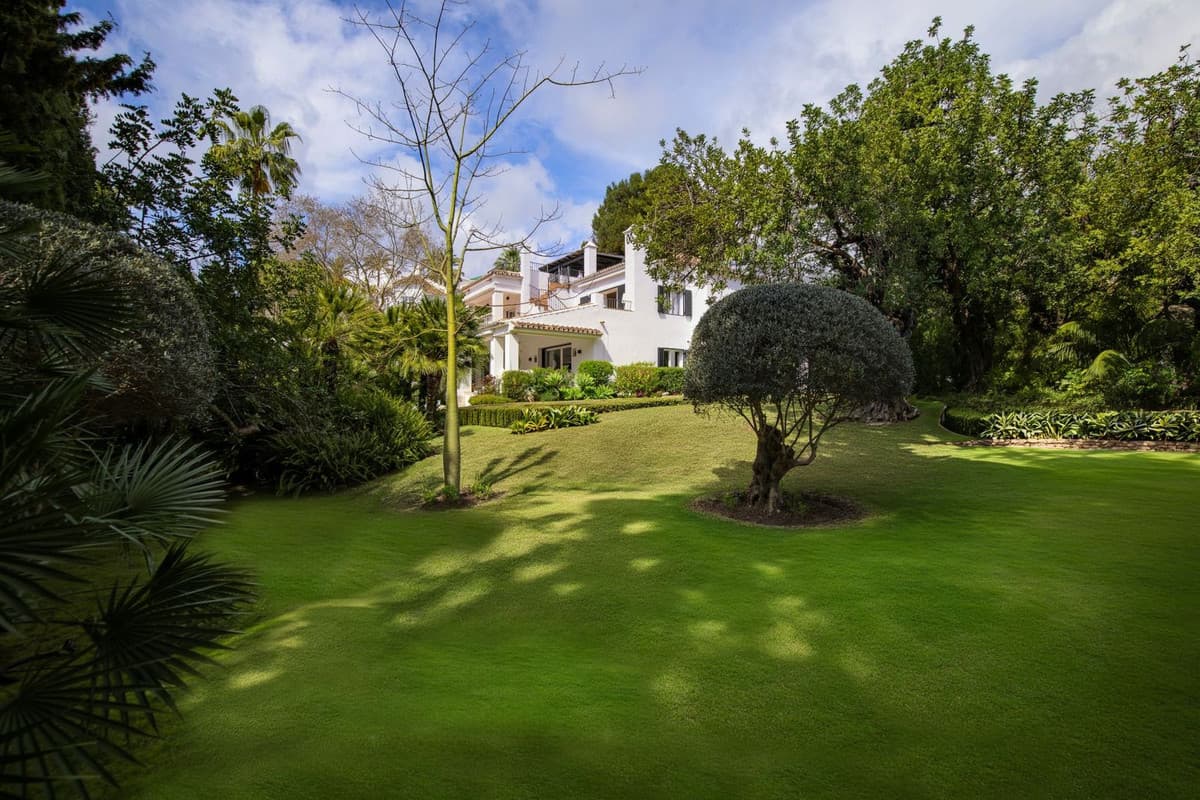 Detached Villa in The Golden Mile — photo 3 of 10
