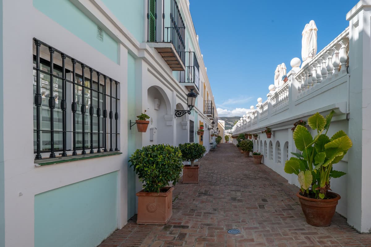 Townhouse in Nueva Andalucía — photo 6 of 10