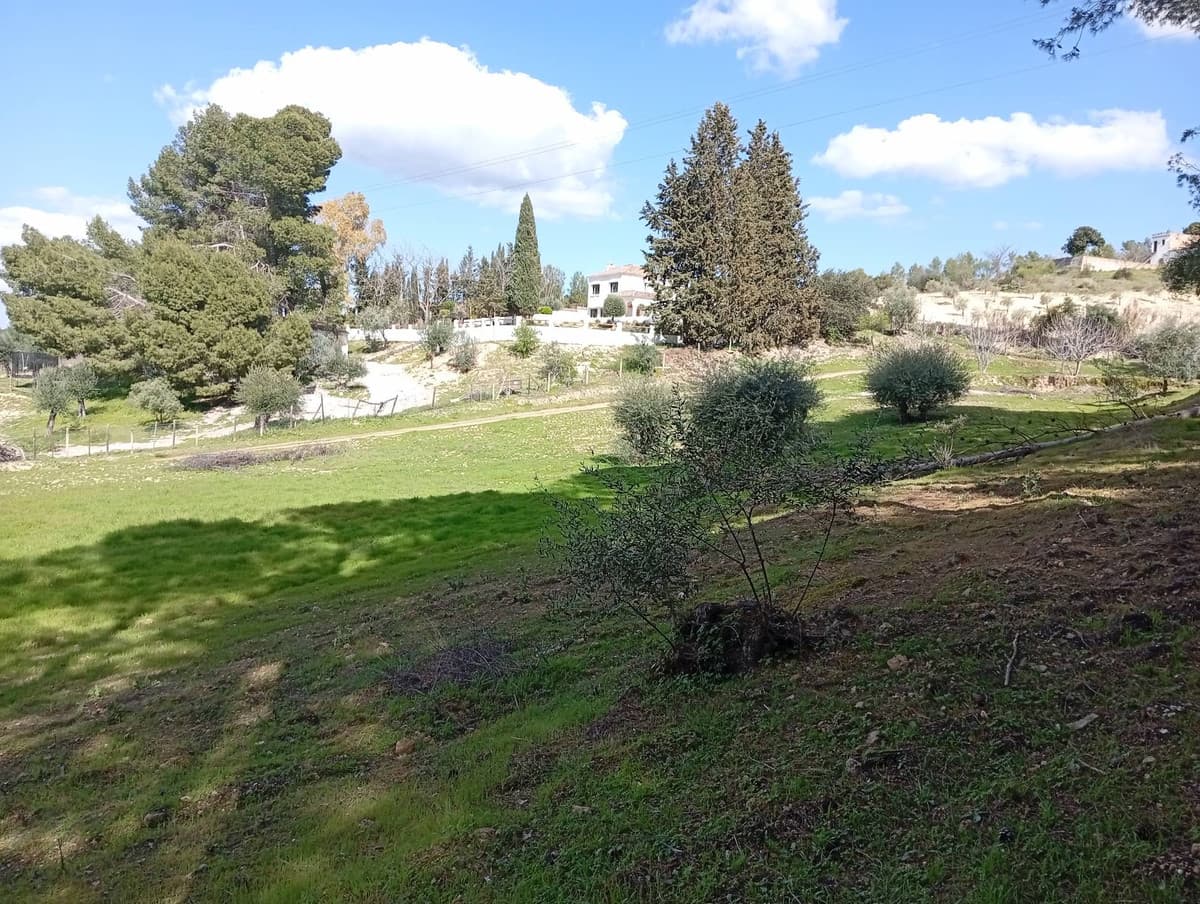 Cortijo in Arriate — photo 6 of 10
