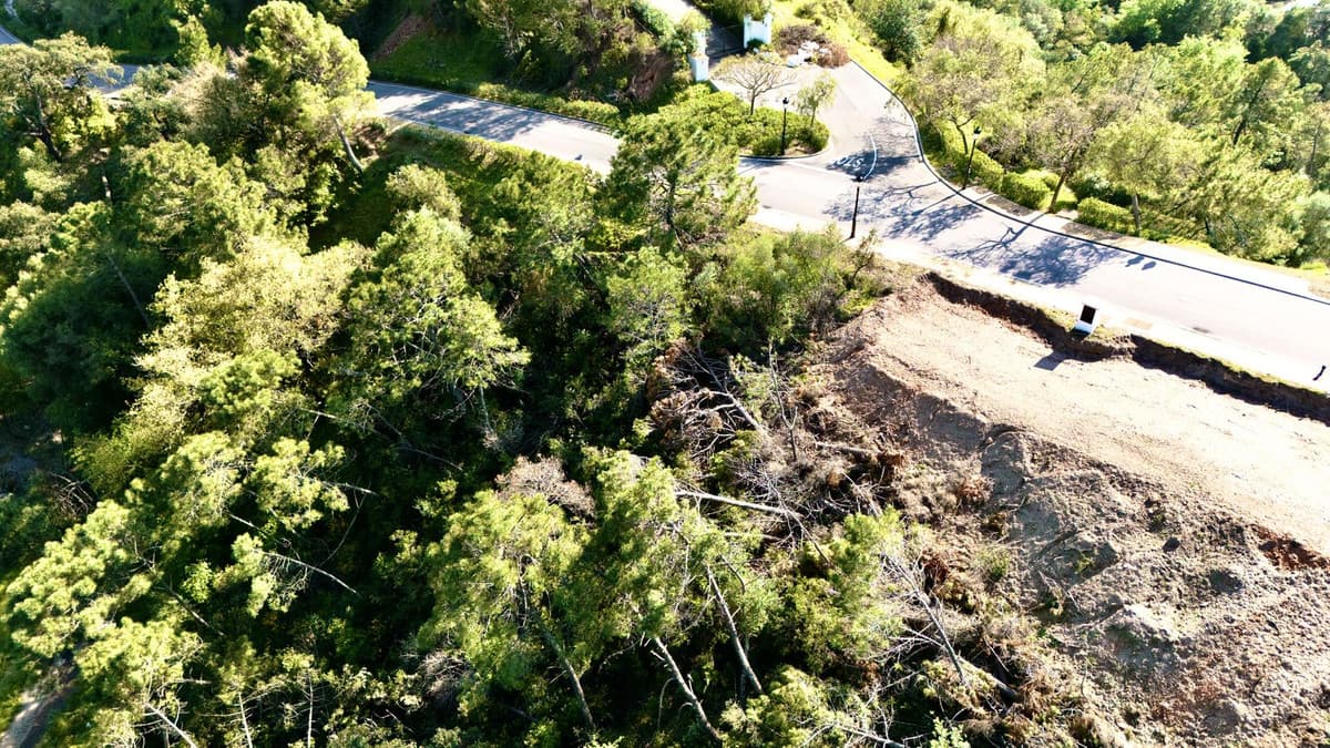 Residential Plot in Benahavís — photo 5 of 10