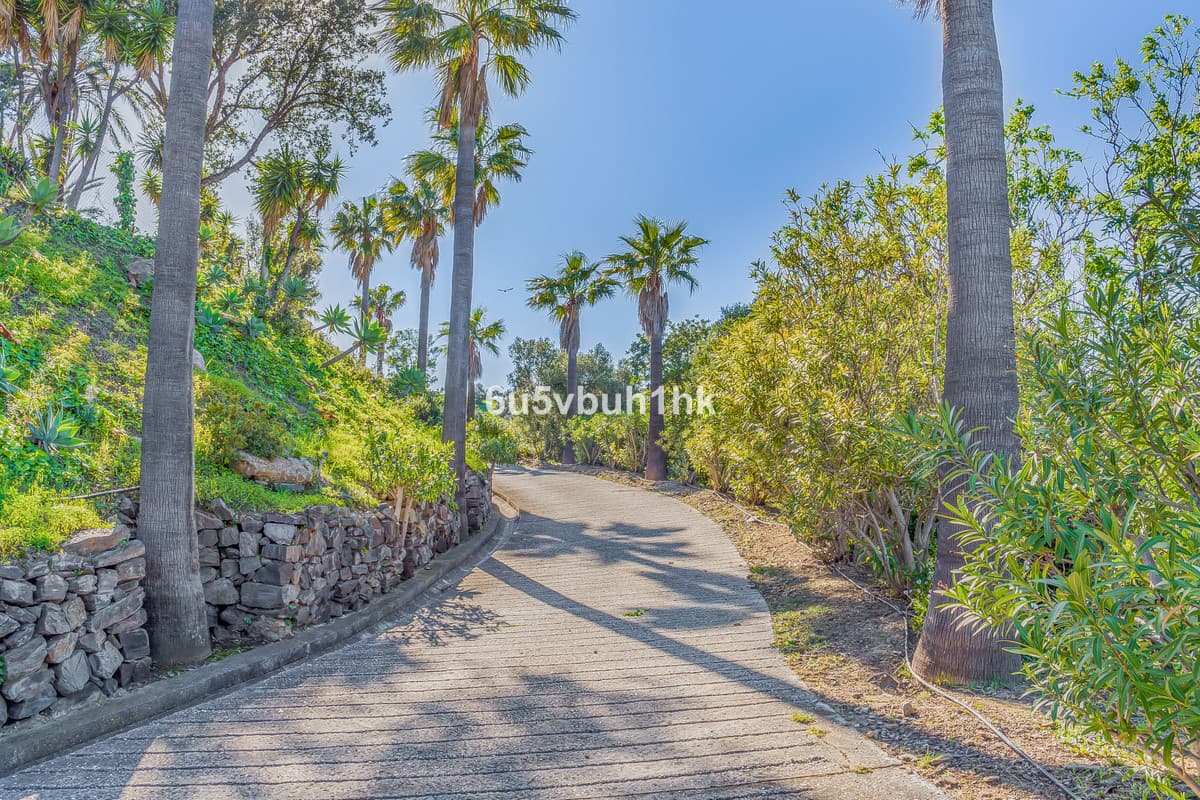 Detached Villa in Mijas — photo 4 of 10