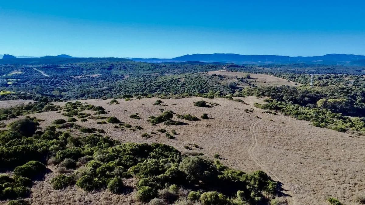 Land with Ruin in Sotogrande — photo 3 of 10