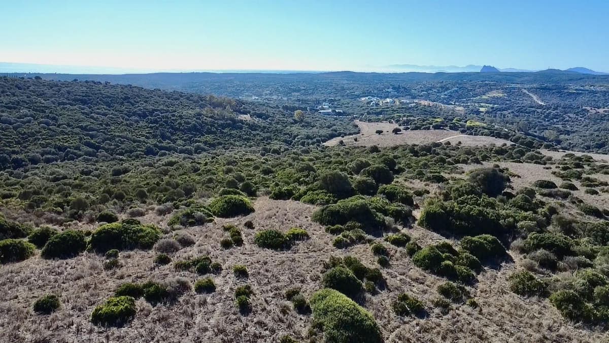 Land with Ruin in Sotogrande — photo 5 of 10
