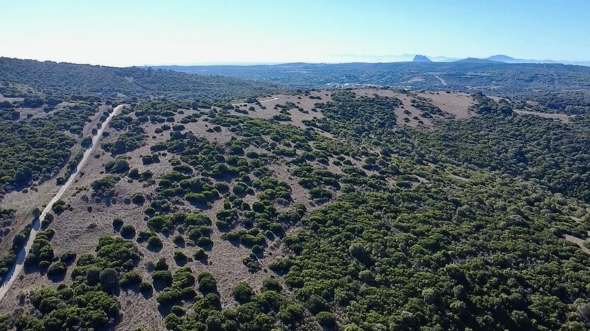 Land with Ruin in Sotogrande — photo 9 of 10