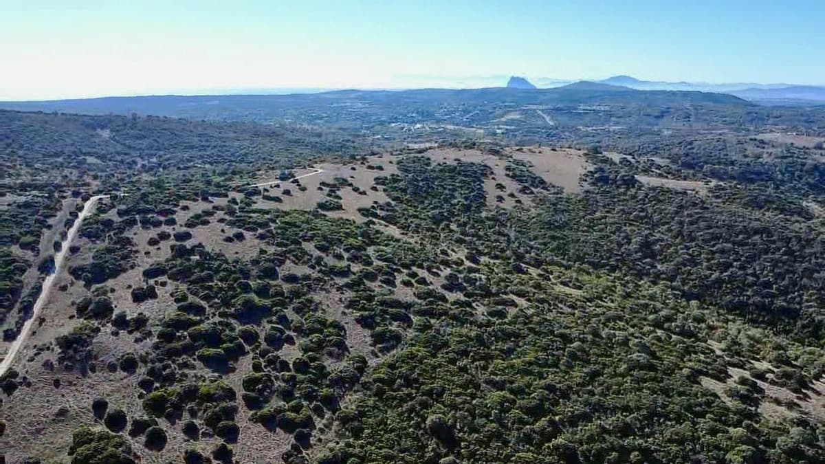 Land with Ruin in Sotogrande — photo 10 of 10