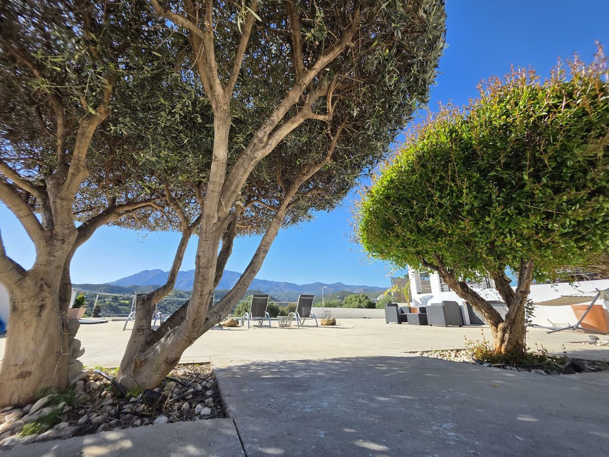 Detached Villa in Estepona — photo 3 of 10