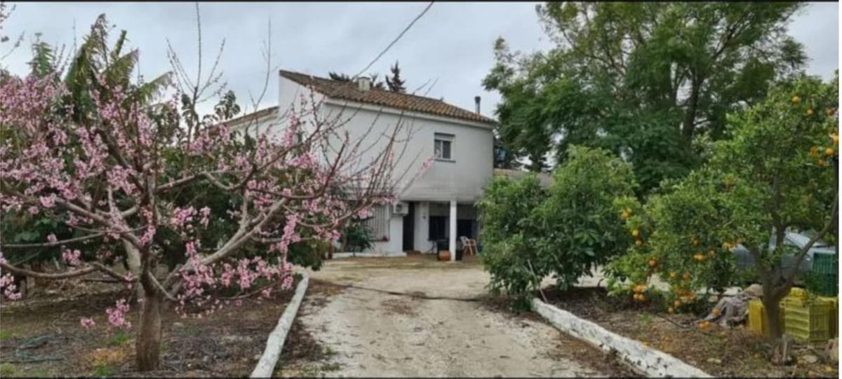 Cortijo in Campo Mijas — photo 4 of 10