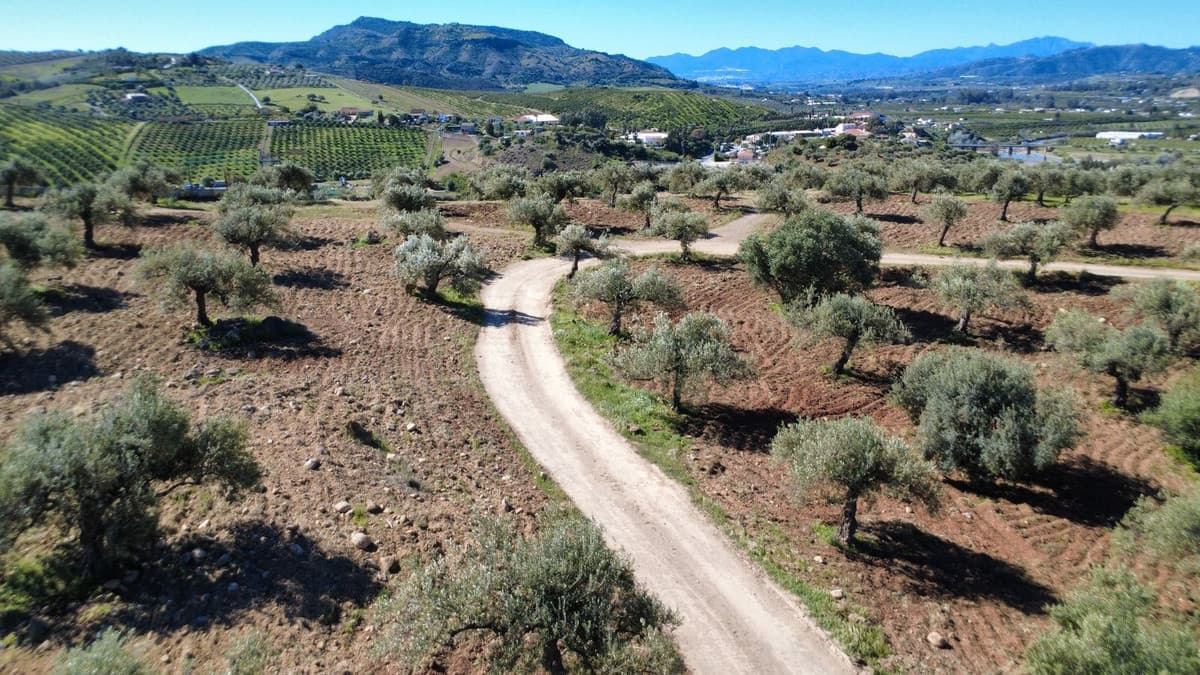 Residential Plot in Alora — photo 1 of 2