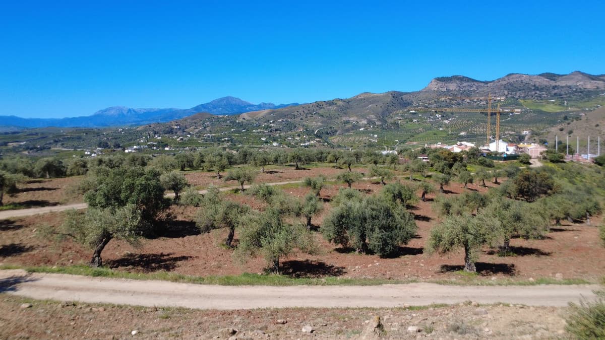 Residential Plot in Alora — photo 2 of 2