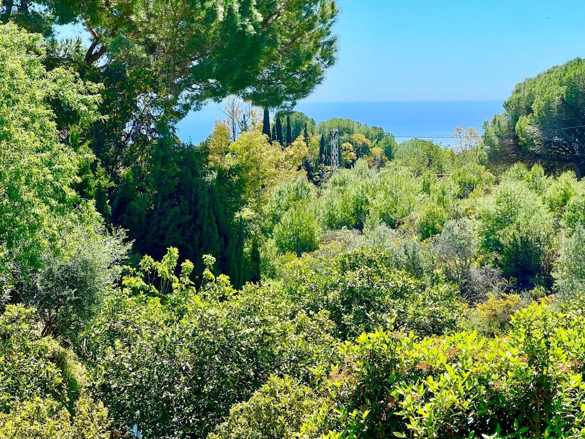 Detached Villa in Mijas — photo 5 of 10