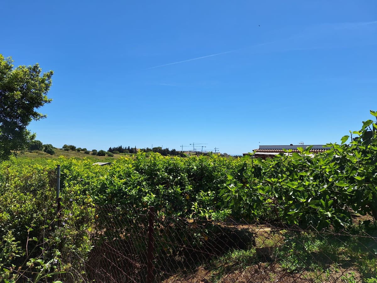 Cortijo in Estepona — photo 6 of 10