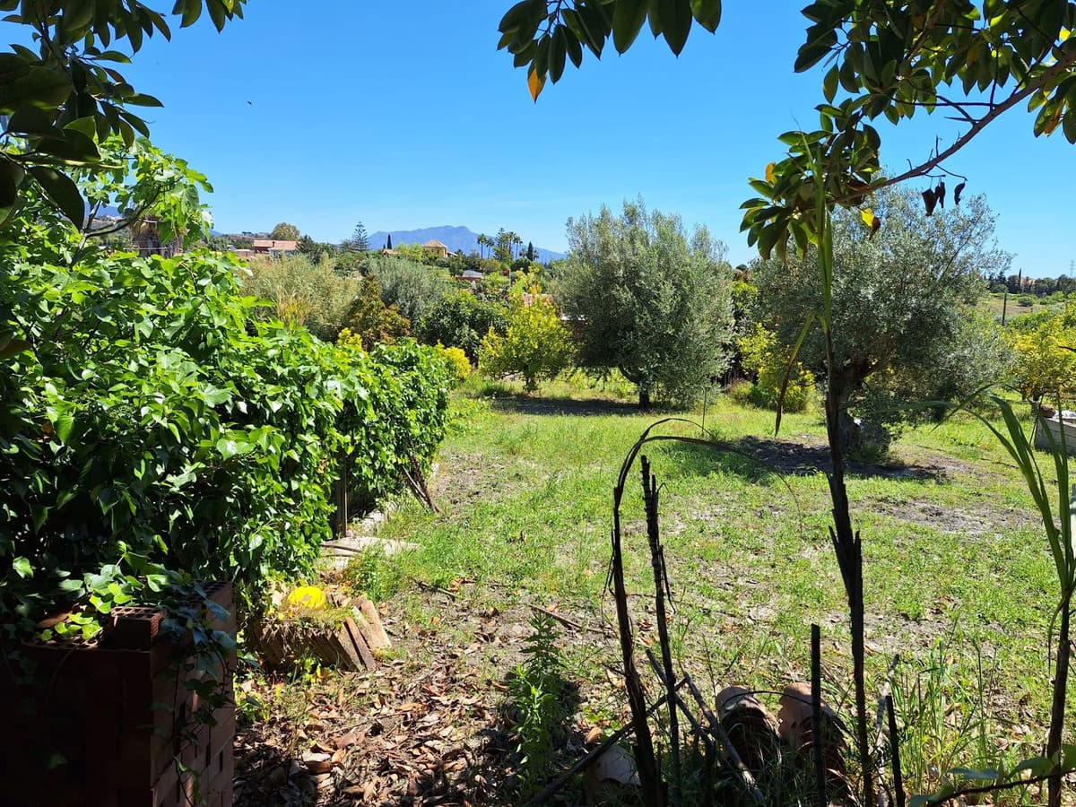 Cortijo in Estepona — photo 8 of 10
