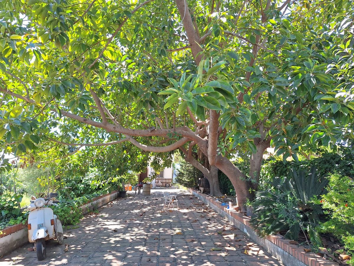 Cortijo in Estepona — photo 9 of 10