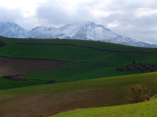 Land in Ardales — photo 1 of 10