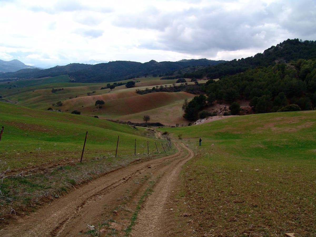 Land in Ardales — photo 2 of 10