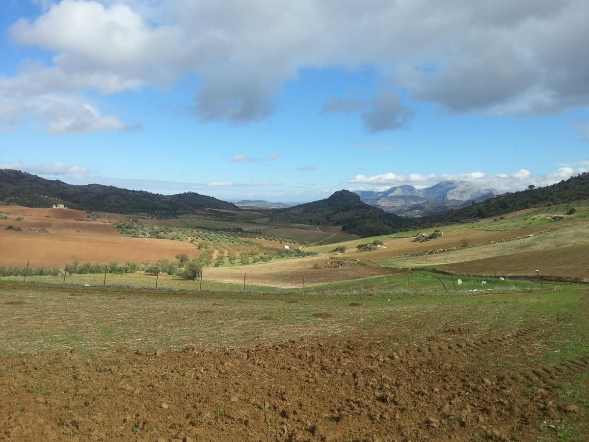 Land in Ardales — photo 3 of 10