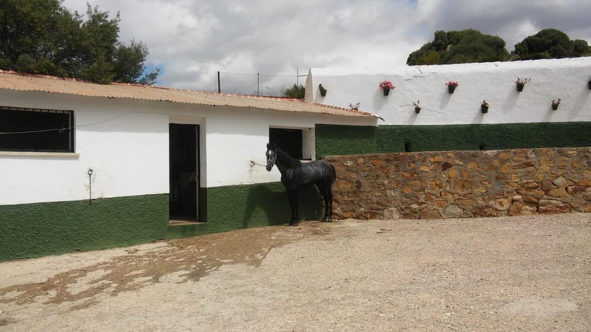 Land in Ardales — photo 6 of 10