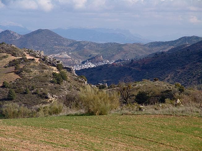 Land in Ardales — photo 10 of 10