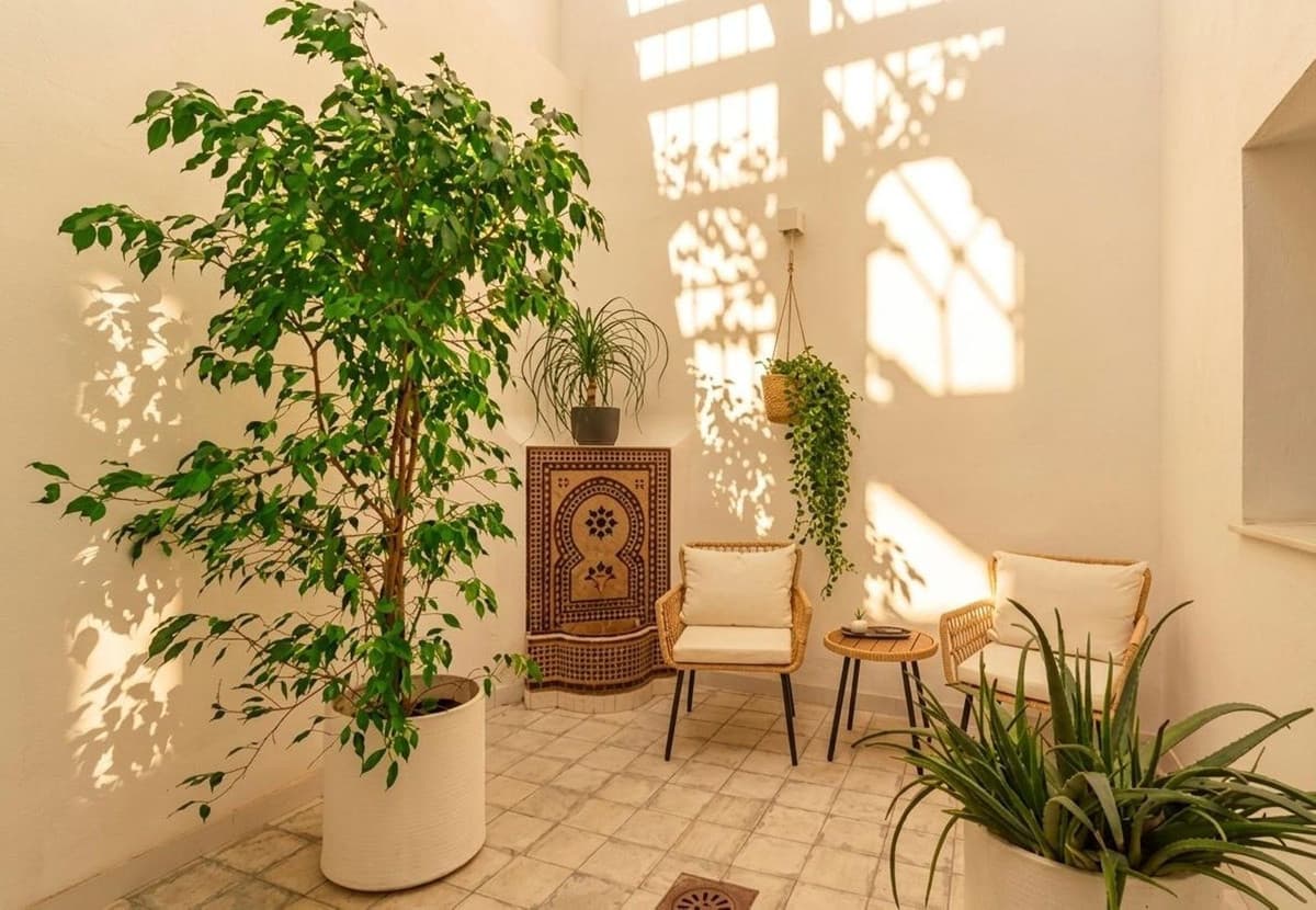 Townhouse in Estepona — photo 8 of 10