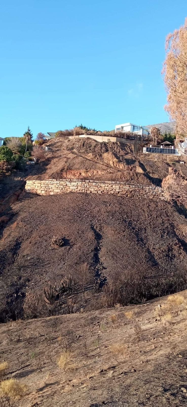 Residential Plot in Valtocado — photo 7 of 10