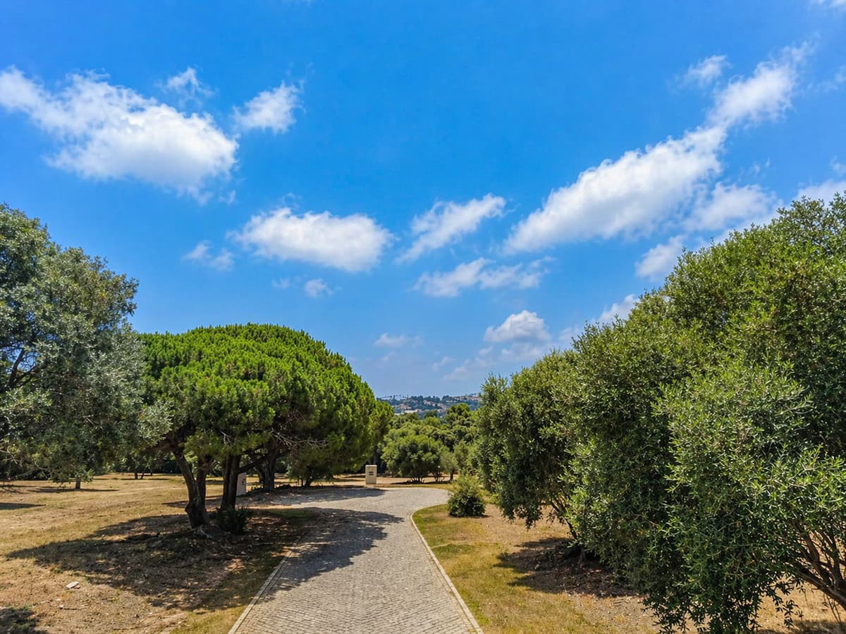 Residential Plot in Sotogrande Alto — photo 2 of 10