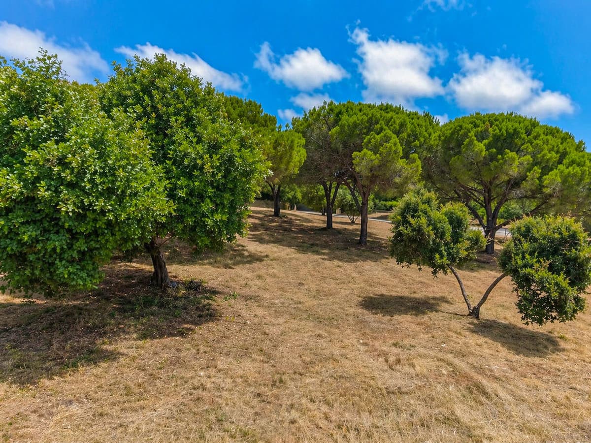 Residential Plot in Sotogrande Alto — photo 8 of 10