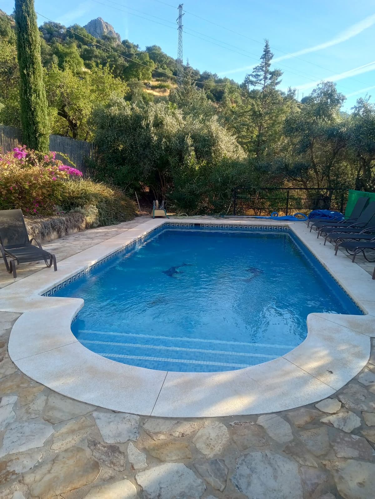 Detached Villa in Alora — photo 8 of 10