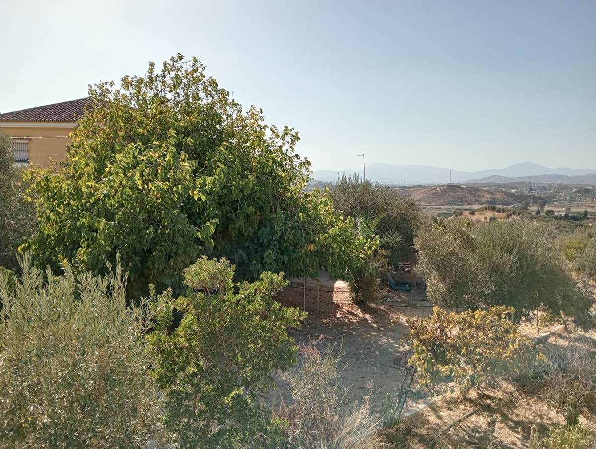 Residential Plot in Estación de Campanillas — photo 7 of 10