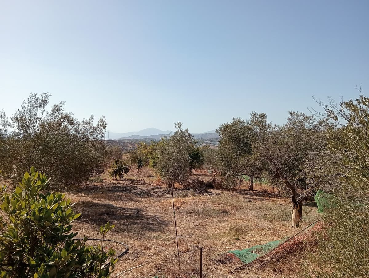 Residential Plot in Estación de Campanillas — photo 8 of 10