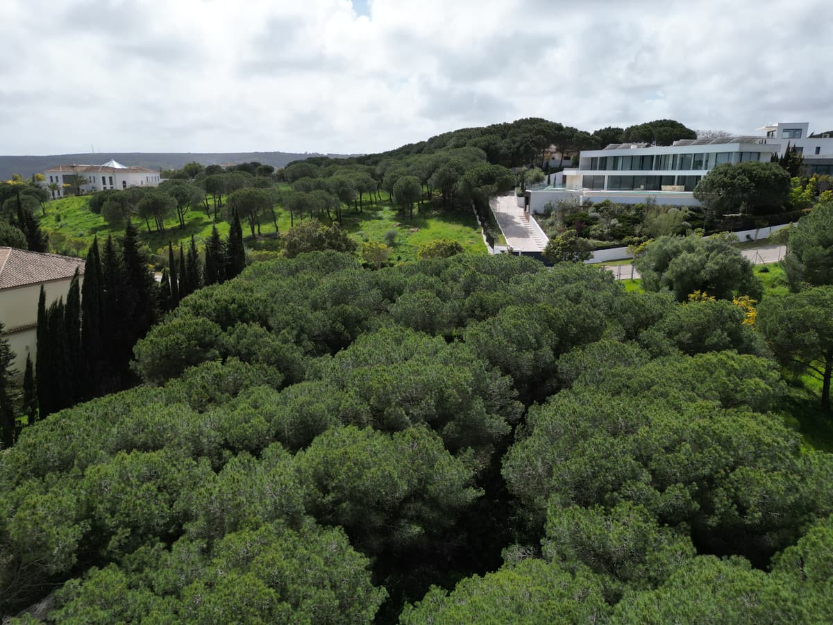 Residential Plot in Sotogrande — photo 10 of 10