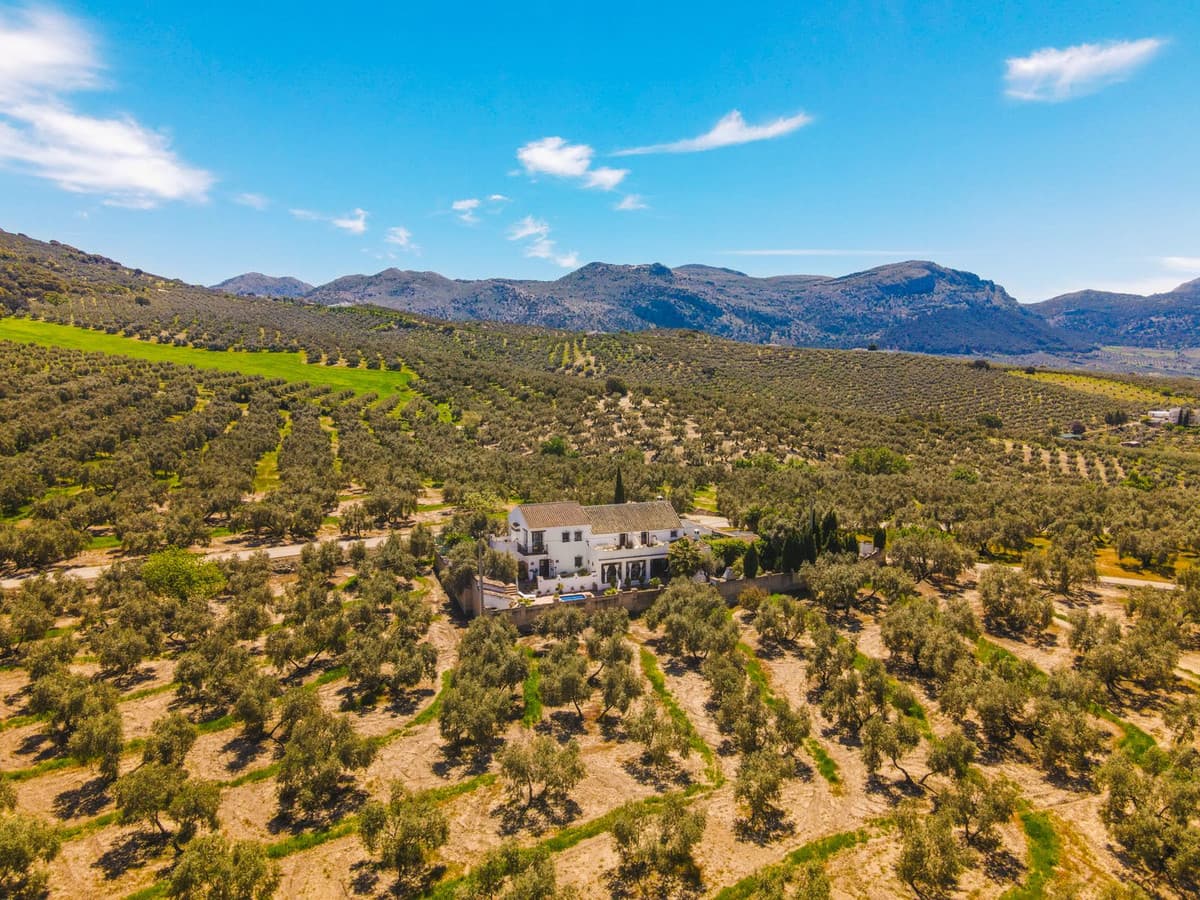 Cortijo in Villanueva del Trabuco — photo 6 of 10