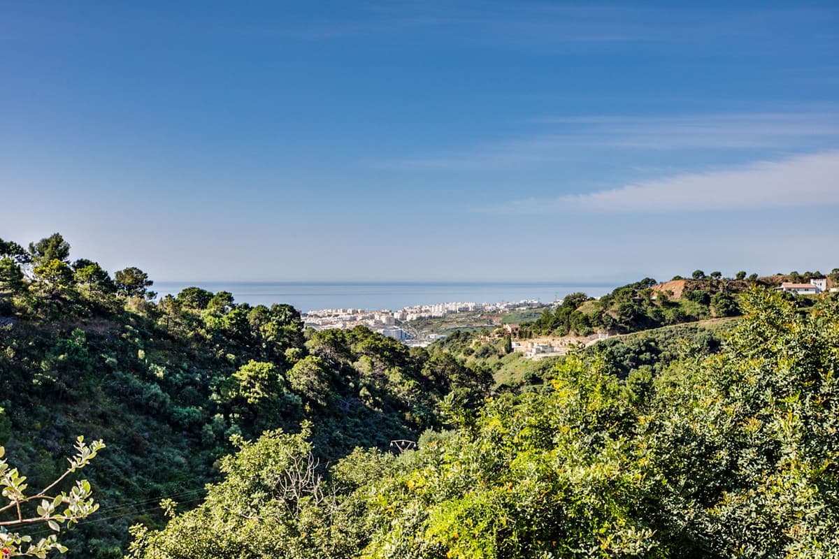Detached Villa in Estepona — photo 4 of 10