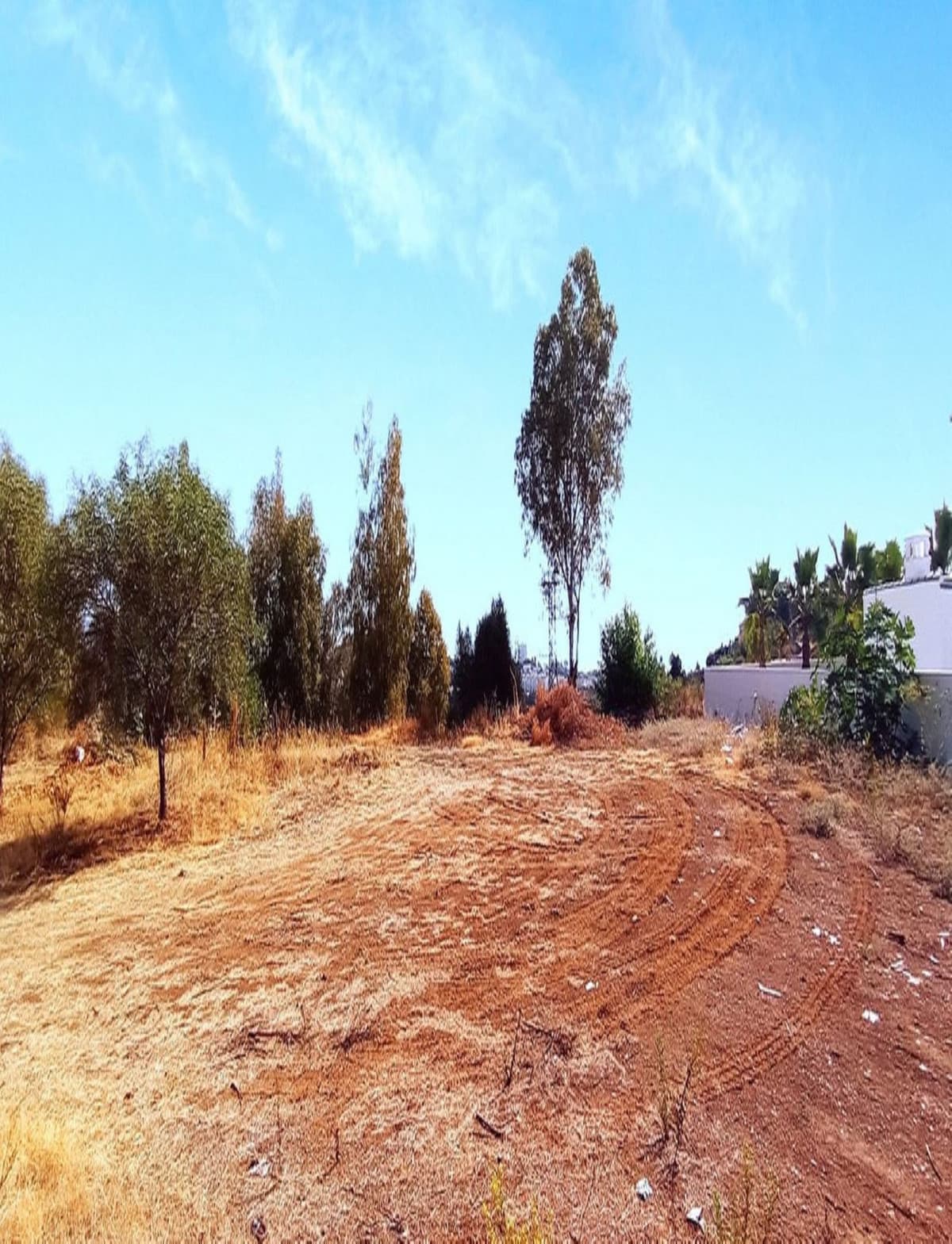 Residential Plot in La Quinta — photo 2 of 4