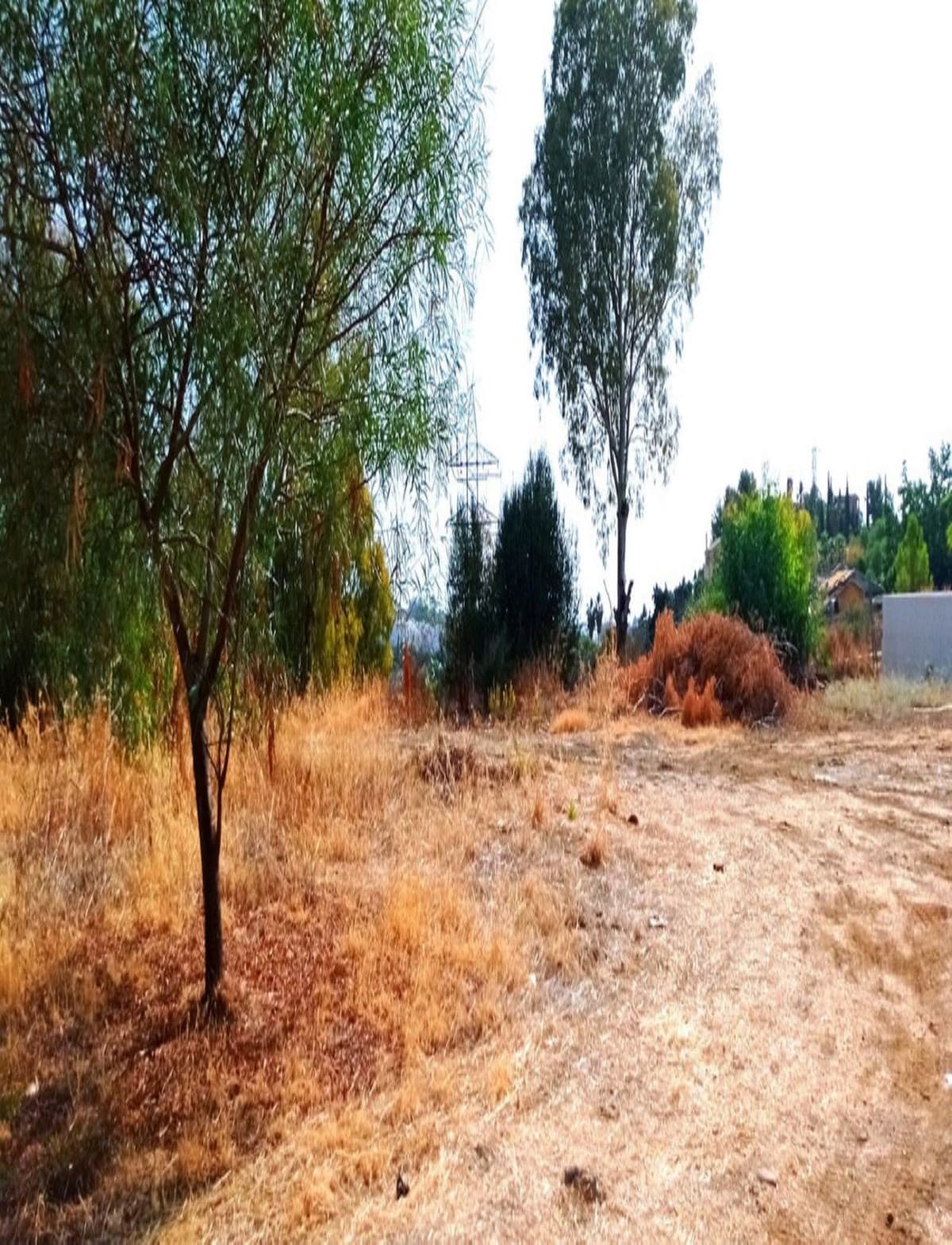 Residential Plot in La Quinta — photo 3 of 4