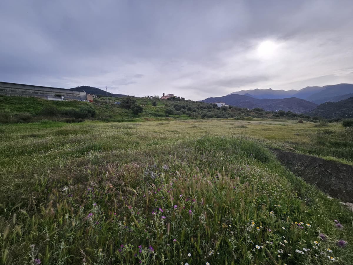 Land in Tolox — photo 6 of 9