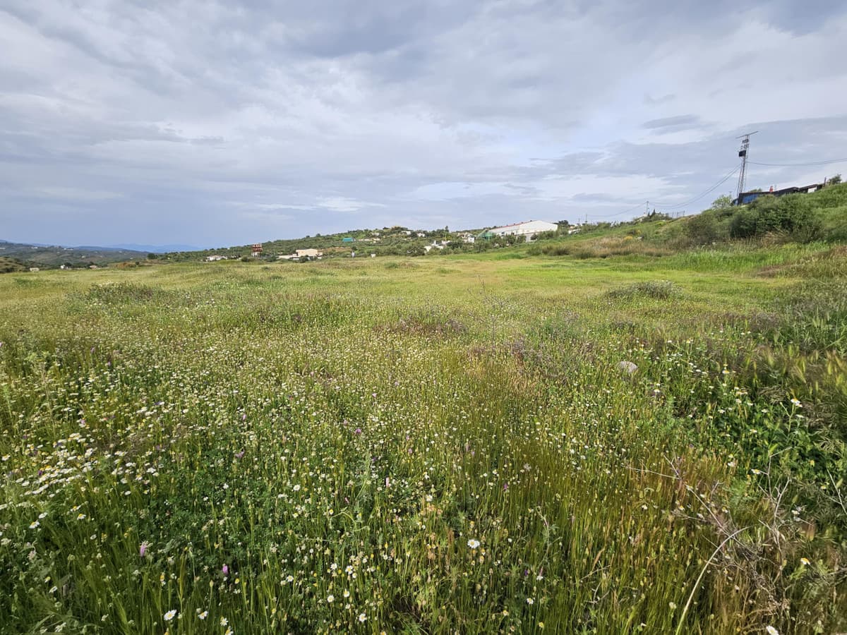 Land in Tolox — photo 8 of 9