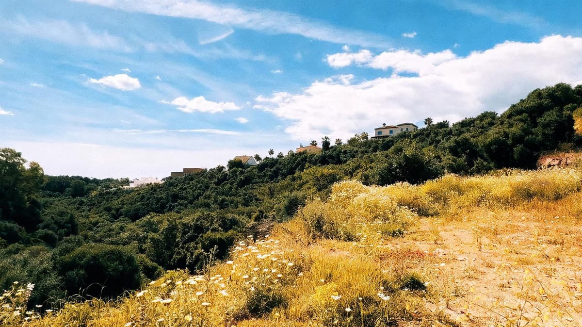Residential Plot in Sotogrande — photo 7 of 10