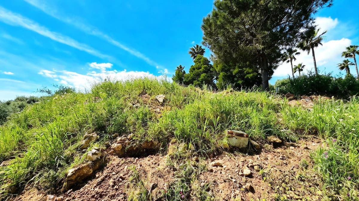 Residential Plot in Sotogrande — photo 10 of 10