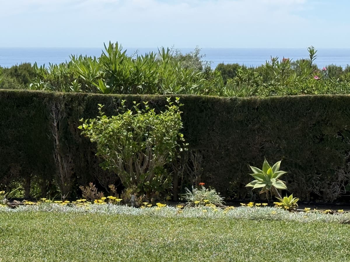 Ground Floor Apartment in Miraflores — photo 8 of 10