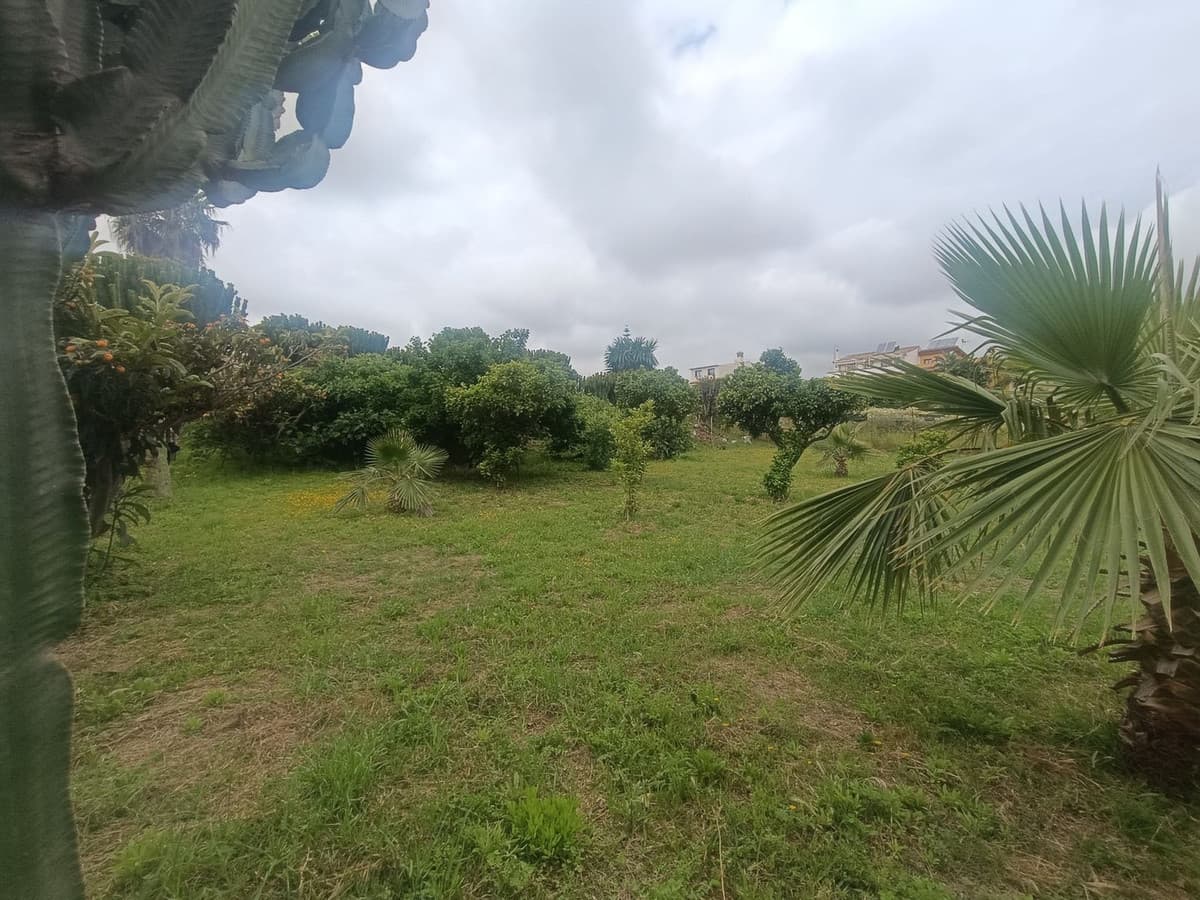 Land with Ruin in Mijas — photo 5 of 7
