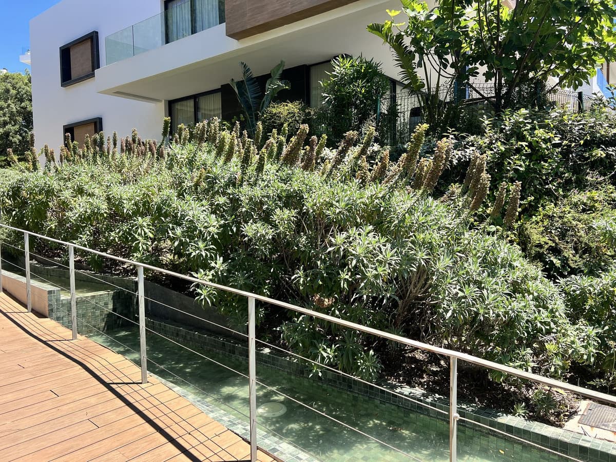 Ground Floor Apartment in Artola — photo 8 of 10