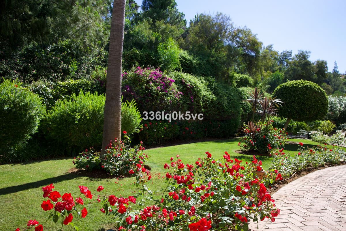 Middle Floor Apartment in Los Arqueros — photo 10 of 10