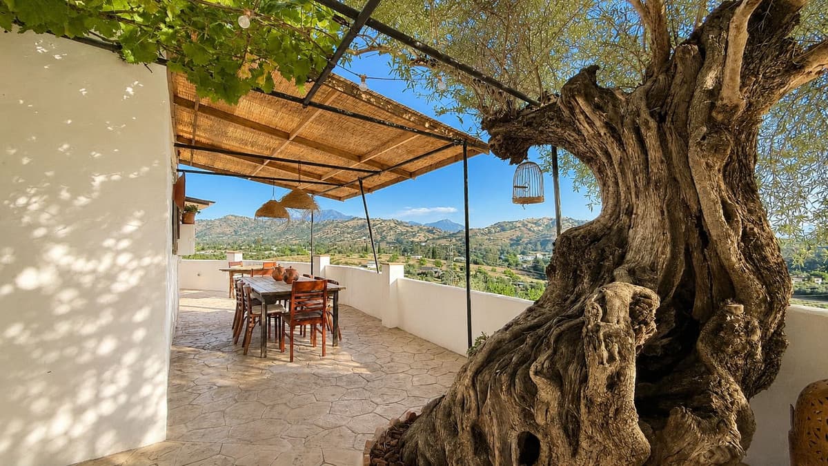 Cortijo in Coín — photo 4 of 10