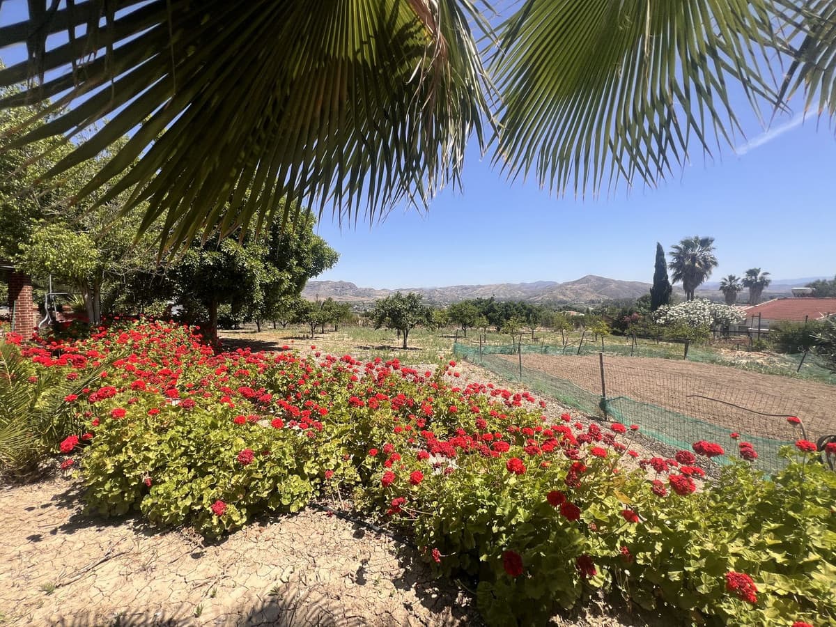 Cortijo in Cártama — photo 10 of 10