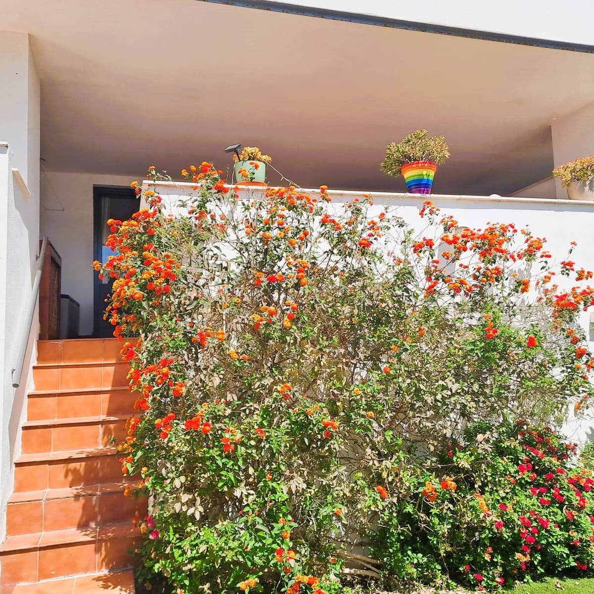 Ground Floor Apartment in Casares Playa — photo 5 of 10