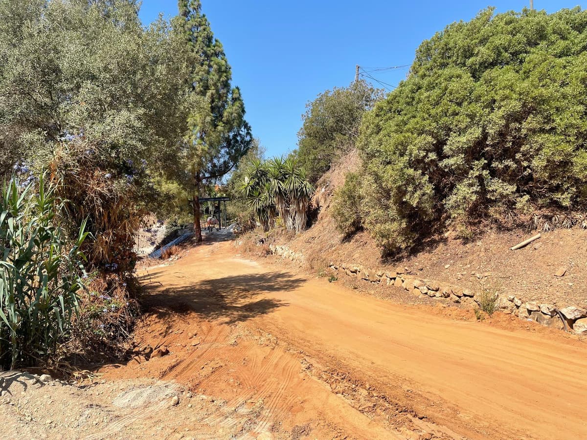 Residential Plot in El Rosario — photo 8 of 9