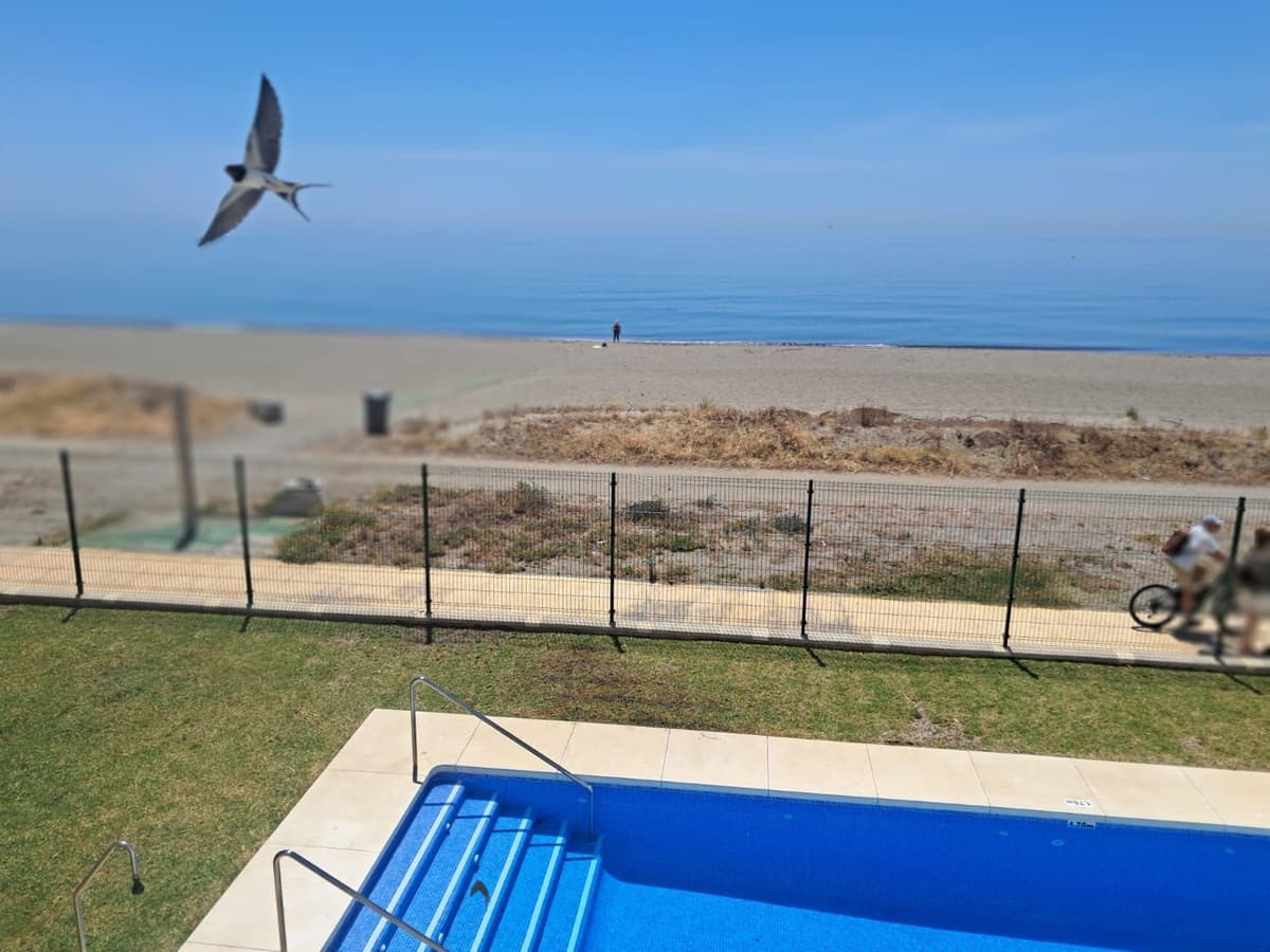 Detached Villa in Estepona — photo 8 of 10